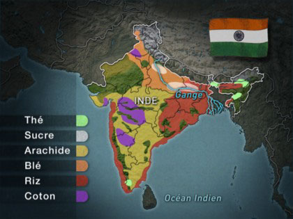 Inde : Révision des prévisions de croissance