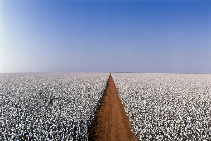 Brésil -USA : Enfin un accord sur le commerce du coton !