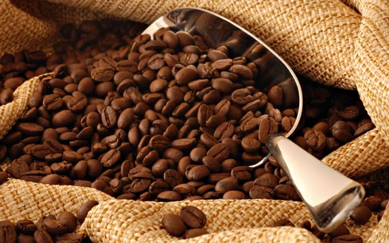 Brésil : chute de la production de café