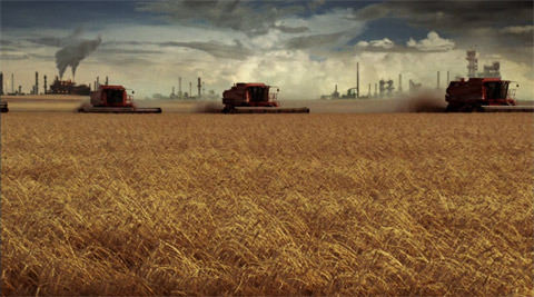 Le Brésil contraint d’importer du blé