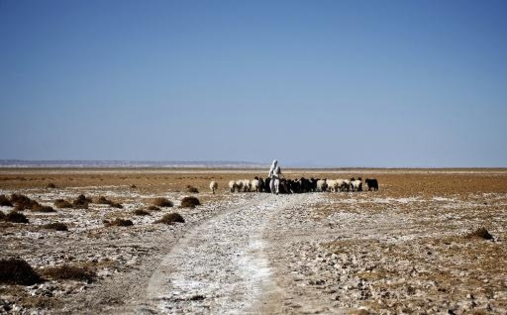 Iran : La sécheresse nouvelle crise à dimension inquiétante