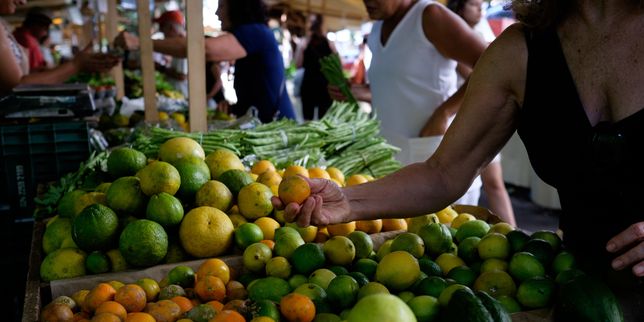 Le Brésil, futur premier fournisseur mondial des produits alimentaires ?