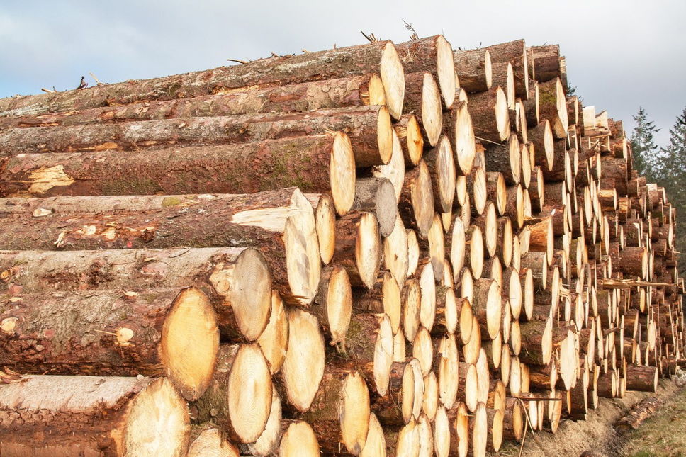 Conflit du bois : Le Canada porte plainte auprès de l’OMC contre les Etats-Unis