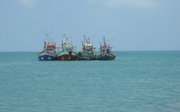 Pêche illégale : L’UE retire son «carton jaune» à la Thaïlande