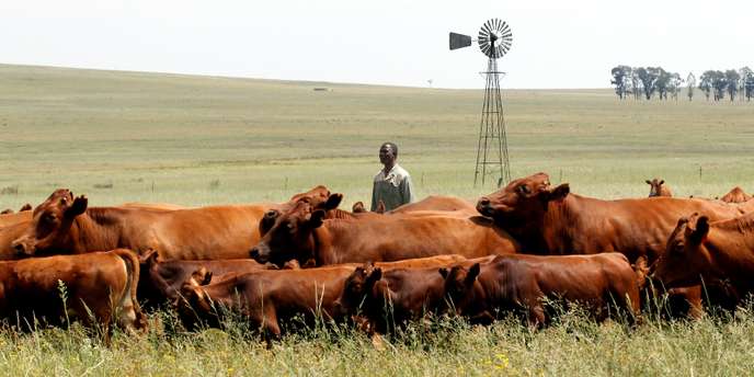 Un groupe d’experts sud-africains soutient la redistribution des terres sous certaines conditions