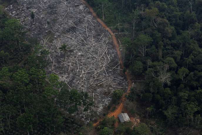 Déforestation : Oslo prive Brasilia de 30 millions d’euros de subventions