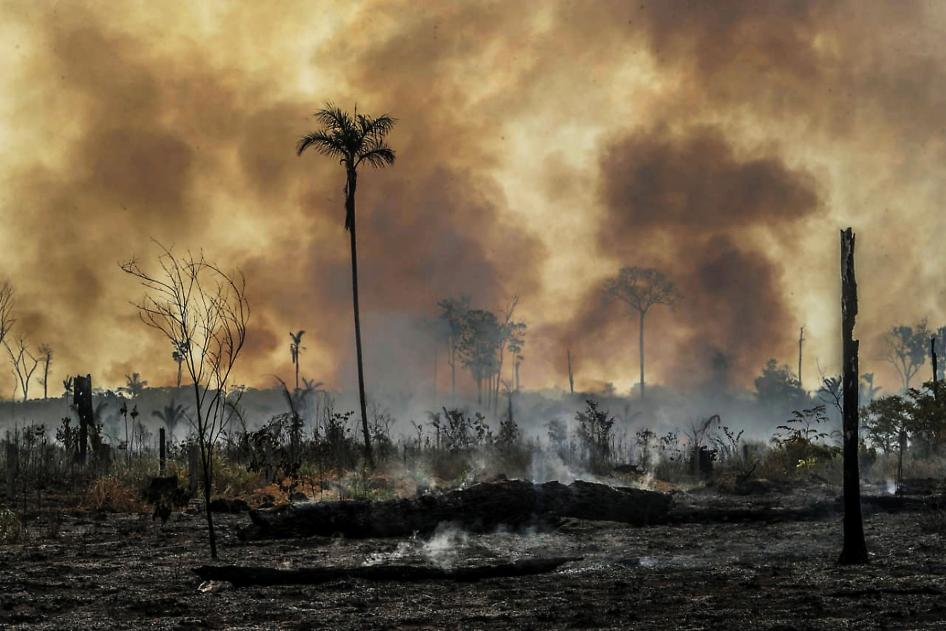 HRW accuse des réseaux mafieux au Brésil d’être derrière la déforestation en Amazonie