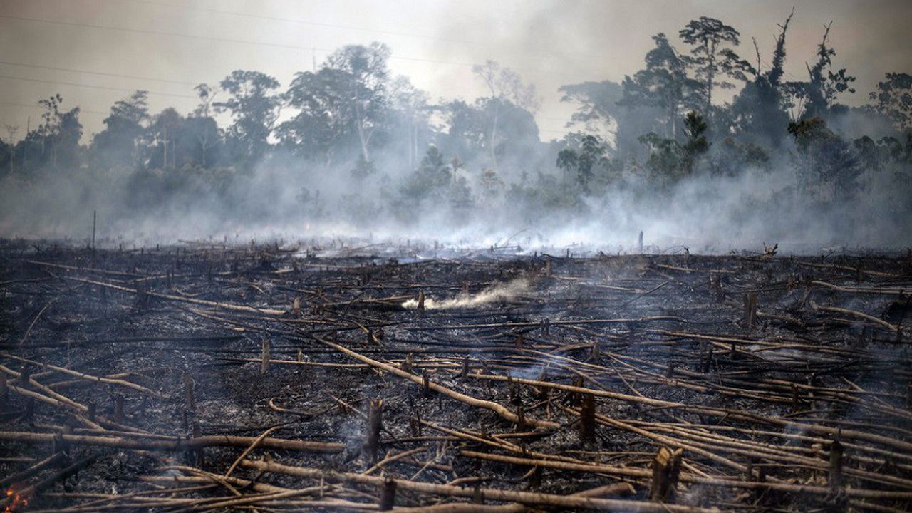 Brésil : Les incendies en Amazonie ont augmenté de 30 % en 2019