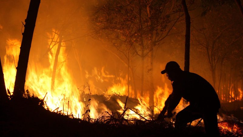 La forêt d’Amazonie brûle toujours au Brésil
