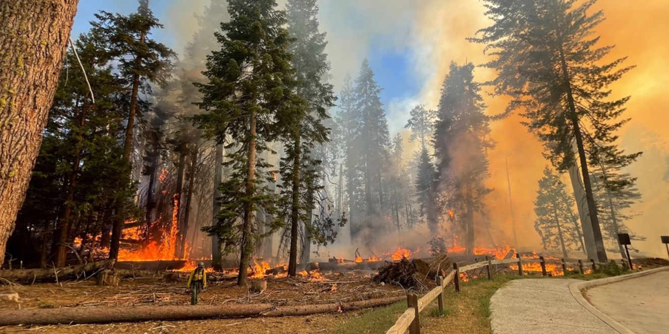 Etats-Unis : un feu de forêt menace les séquoias géants du parc national de Yosemite