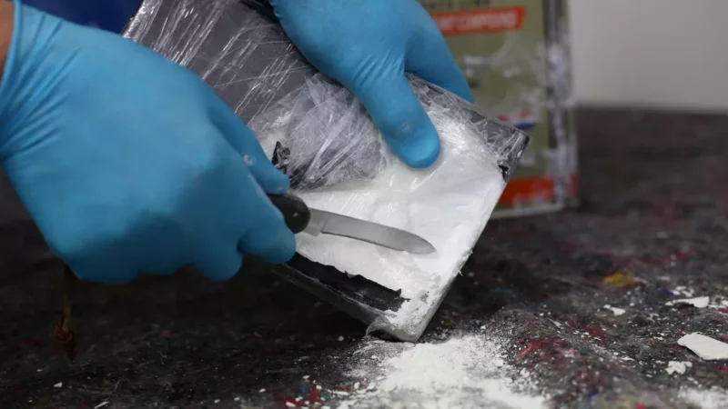 Un vaste réseau de trafic de cocaïne du Brésil démantelé à Leixões