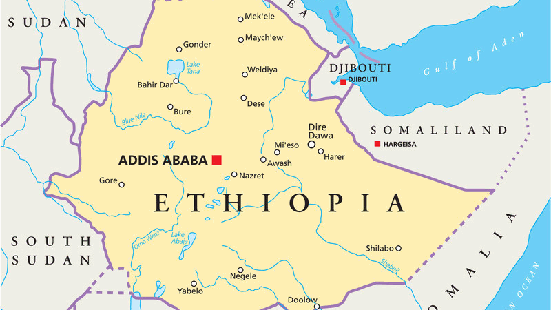 Ethiopie : Révélations étatiques autour d’un vaste complot de terroristes présumés