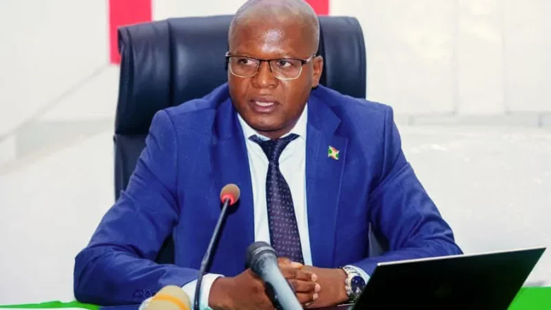Nestor Ntahontuye remplace Gervais Ndirakobuca à la Primature du Burundi
