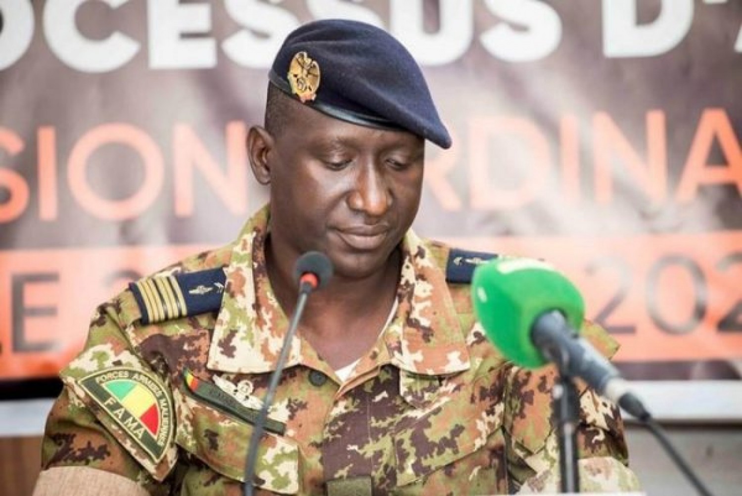 Le parlement malien valide la «Charte nationale du Mali pour la paix et la réconciliation»