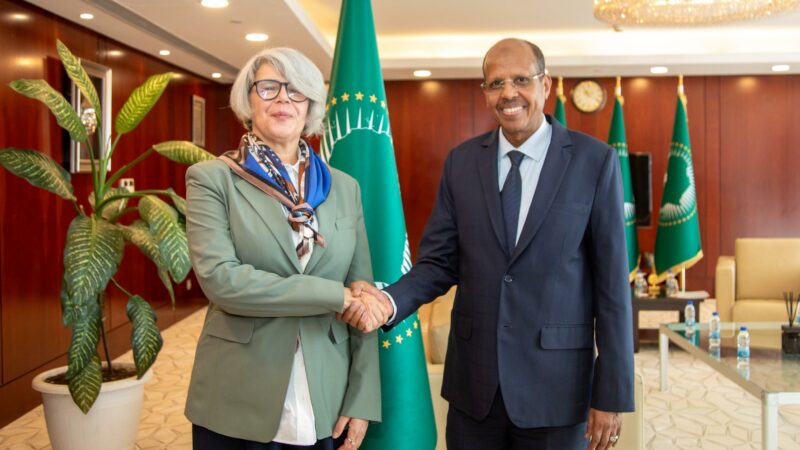 L&rsquo;UE se dit préoccupée par l&rsquo;instabilité dans la Corne de l&rsquo;Afrique