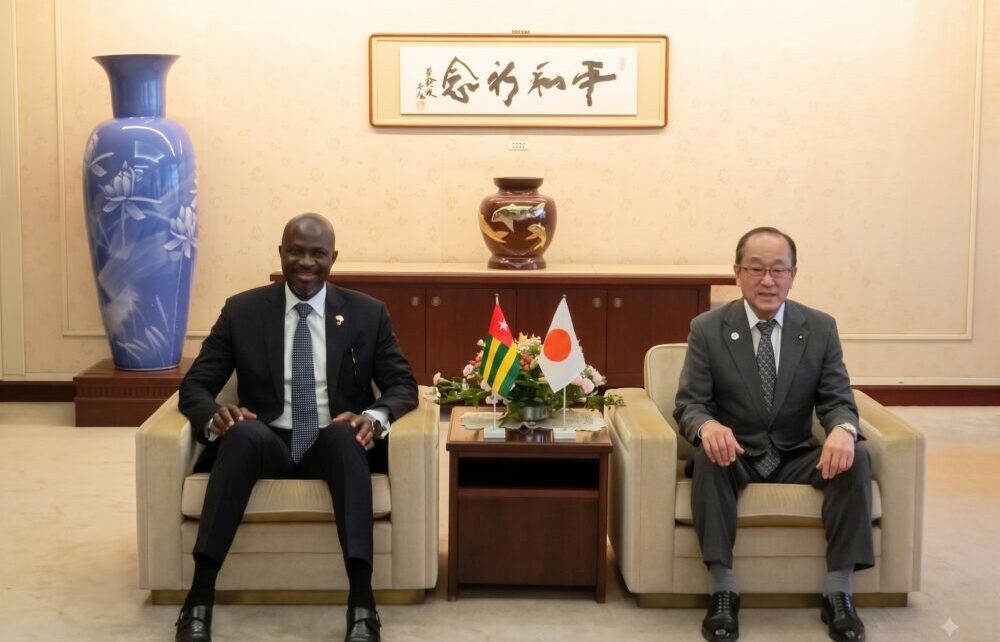Coopération décentralisée Japon-Togo : Hiroshima tend les mains à Lomé