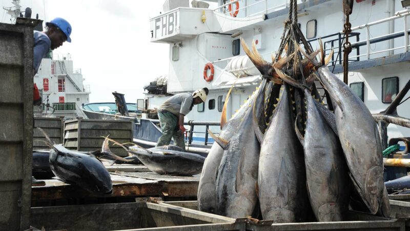 Côte d’Ivoire: Les acteurs de la pêche nationale ont à cœur d’améliorer leurs rendements globaux d’ici 2030