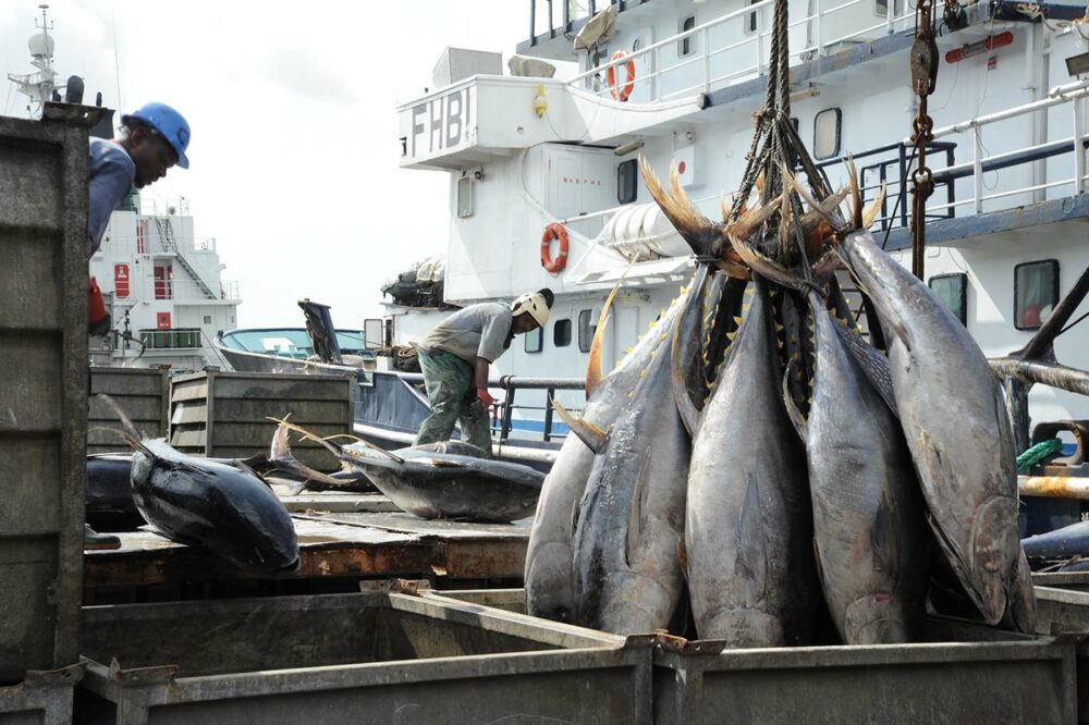Côte d’Ivoire: Les acteurs de la pêche nationale ont à cœur d’améliorer leurs rendements globaux d’ici 2030